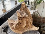 trầm hương cảnh kiểu cánh buồm