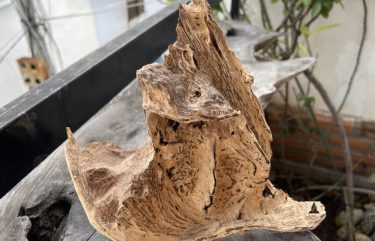 trầm hương cảnh kiểu cánh buồm